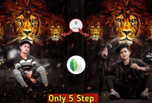 Lion Photo Editing In Snapseed App Download Background & png